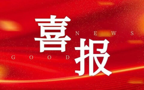 大自然家居稳居天猫双十一地板品类TOP1