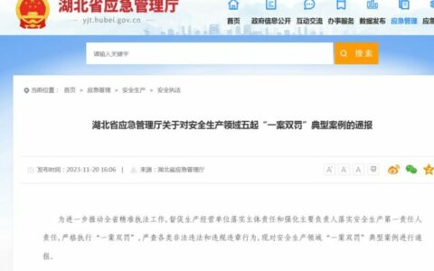 一案双罚！武汉双虎涂料被重罚