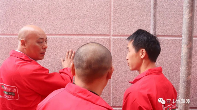 亚卡仿石漆观摩访学之旅