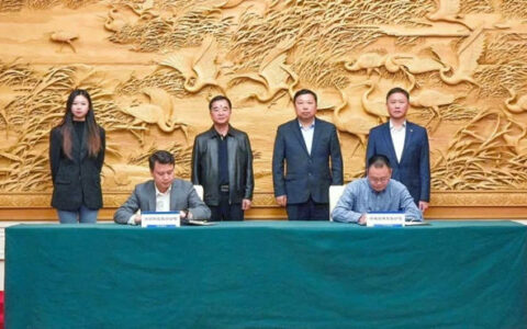 洲明科技与天津生态管委会、滨城文旅达成战略合作