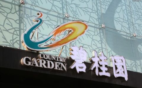 杨惠妍月薪一万！碧桂园“凤凰涅槃”？