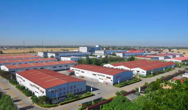 石家庄市油漆厂又双叒叕获荣誉！