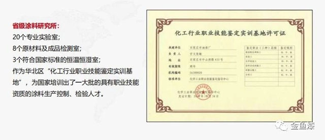 石家庄市油漆厂又双叒叕获荣誉！
