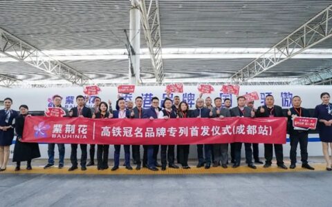紫荆花高铁专列，2024继续领跑加速度