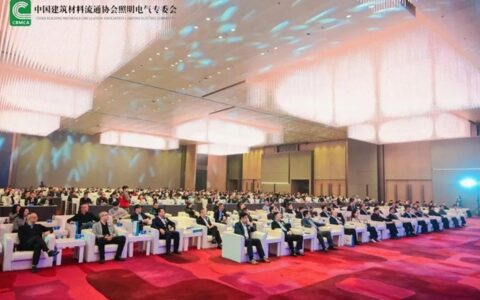 五光十色荣获品牌影响力评价两大奖项！