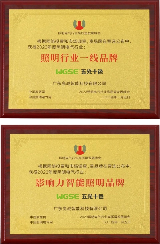 五光十色荣获品牌影响力评价两大奖项！
