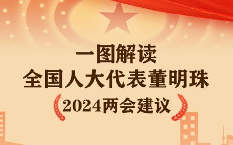 一图解读全国人大代表董明珠2024两会建议