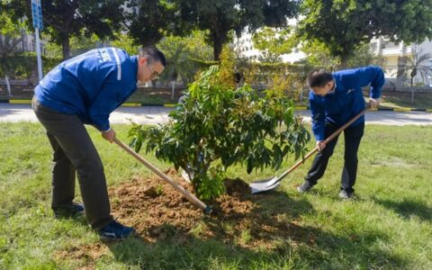 双瑞涂料产业厦门党支部开展“植树添新绿、奋进正当时”植树节活动