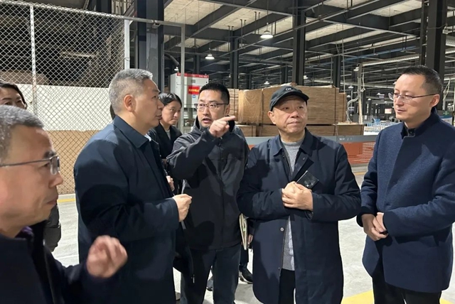 四川省能源局新能源处处长何茂荣莅临门窗公司考察调研