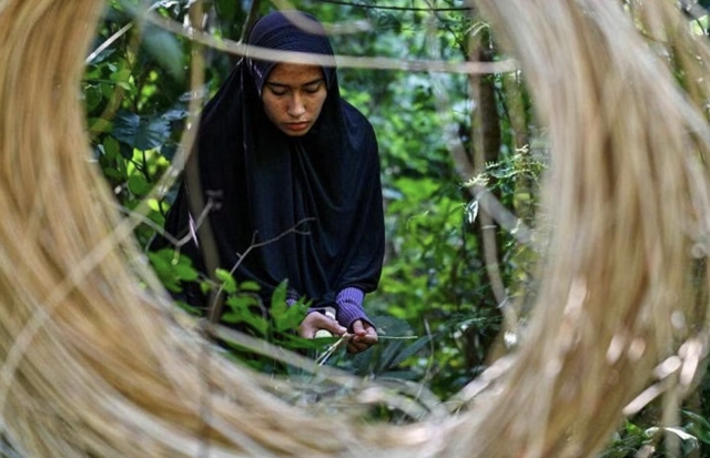 欧盟无毁林条例 印尼家具出口商吃不消