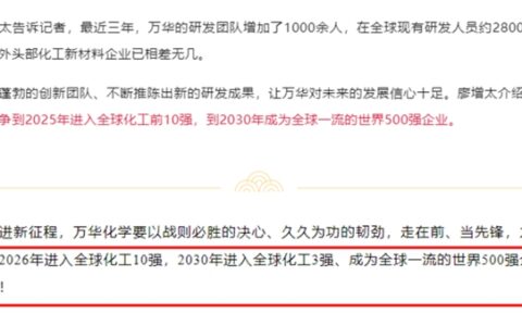 全球10强目标，“化工茅”延期一年能实现吗？