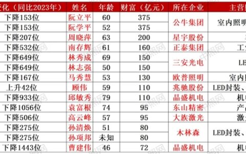 身价375亿，照明行业首富依然是他们！2024年胡润百富榜发布