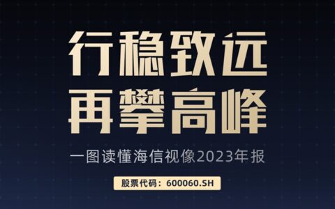 一图读懂海信视像2023年报