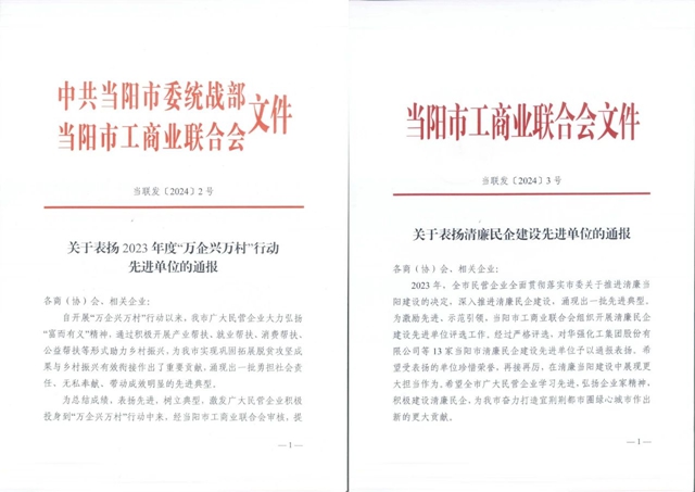 卓众之众在当阳市工商联会议上荣获两项荣誉！