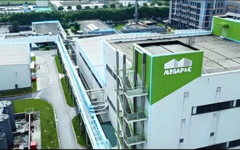 装鸡蛋的篮子太少，细分领域龙头连续三年滑铁卢