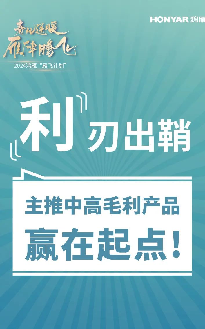 鸿雁智能家居大动作！亿元基金助力经销商抢占先机！_10