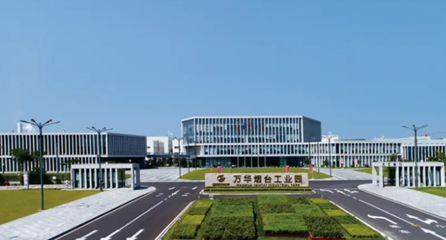 冲击全球化工十强！“化学茅”树脂、胶粘剂等领域接连发力
