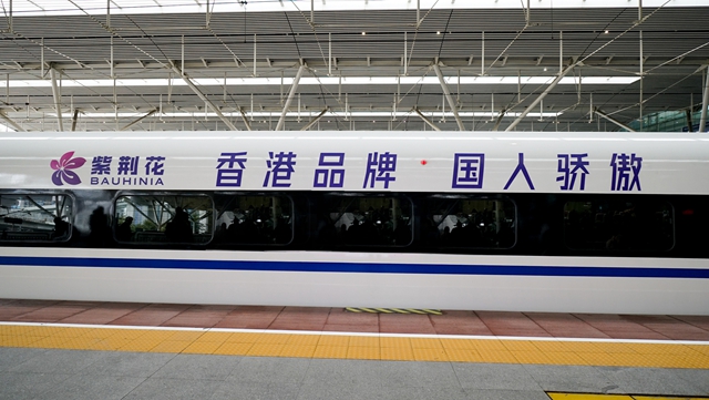 再获认可|紫荆花获评“2023年上海市品牌培育标杆企业”