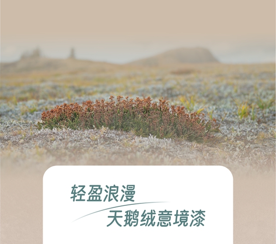 亚士意境漆带你寻找心灵的“阿勒泰”