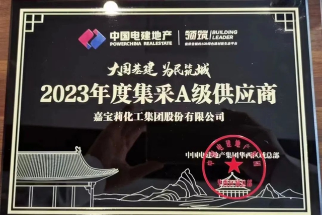 高品质获肯定！嘉宝莉获电建地产年度集采A级供应商