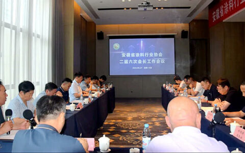 安徽省涂料行业协会二届六次会长工作会议在六安顺利召开