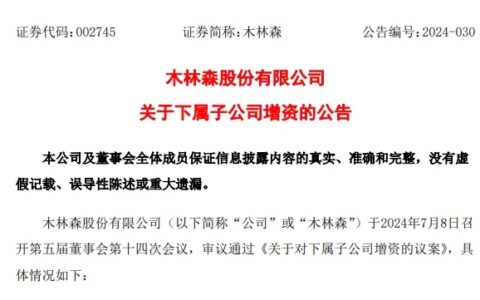 合计3.95亿元！木林森拟向2家子公司增资
