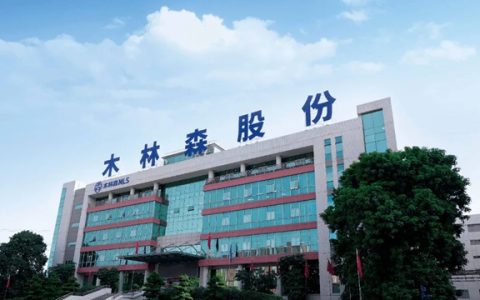 木林森发布2024半年报，净利润同比增长28.8%