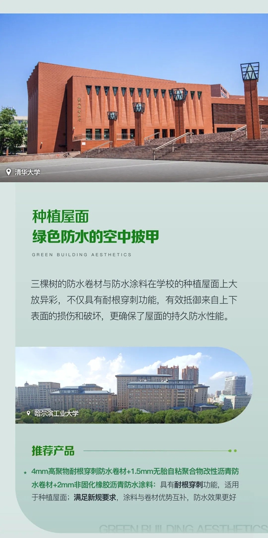 揭秘绿色校园解决方案，三棵树「学校场景」案例大公开