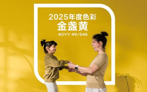 多乐士发布2025年度色彩“金盏黄”，让我们一起勇往直前