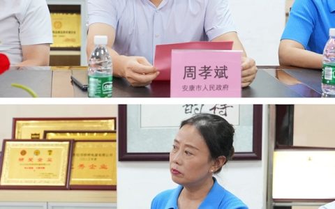 安康市经济合作考察团一行莅临松伟灯饰参观交流