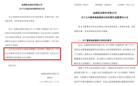 钛白龙头实控人赖账已超11亿！副董事长副总经理接连辞职风险加剧？