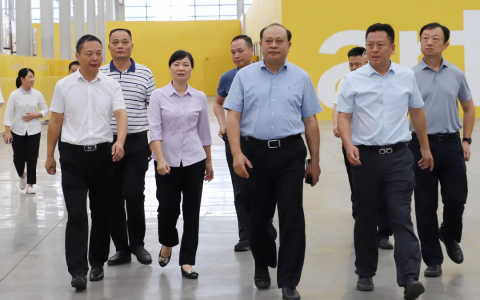 广西自治区林业局党组书记、局长蔡中平一行莅临书香门地中国木业生态城项目考察调研