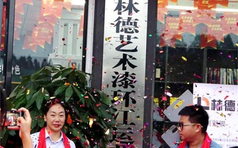 环江艺术涂料市场新宠，林德运营中心璀璨亮相
