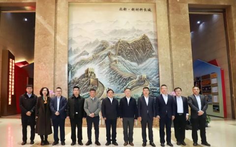 天津滨海高新区党委书记、管委会主任夏青林一行到北新建材开展合作交流