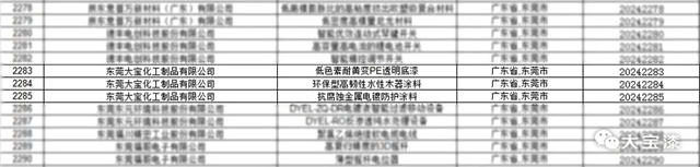 大宝漆荣登2024年广东省名优高新技术产品榜单