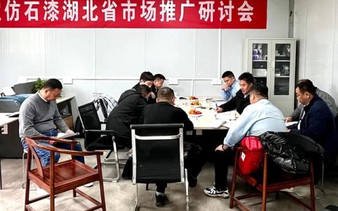 灵蛇聚力·湖北起航 | 大宝仿石漆点燃市场新势能