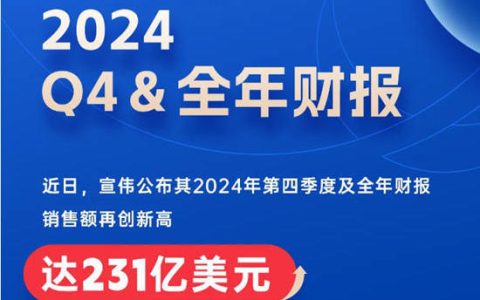 宣伟公布2024年第四季度及全年财报