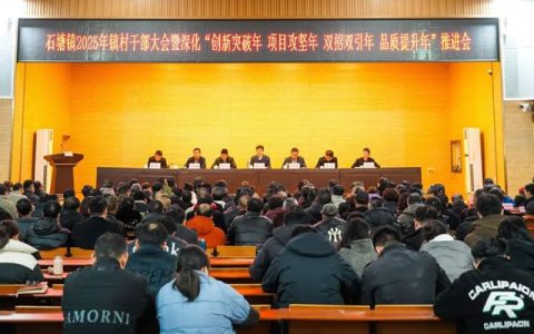 鱼童新材料引领创新突破，共绘2025年发展蓝图
