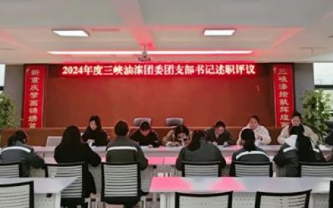 三峡油漆团委召开2024年度团支部书记述职评议会