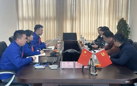 湖南新威凌与武汉双虎涂料开展深度交流，共促高质量发展