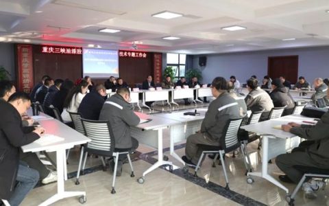 三峡油漆召开2025年技术专题工作会