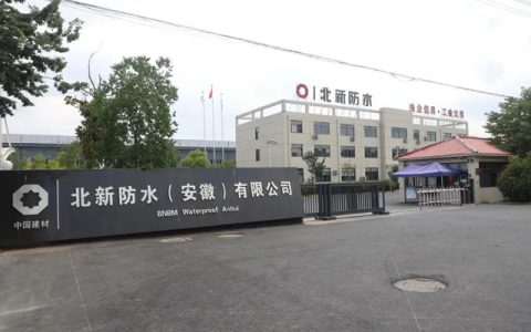 北新防水华东公司：党建领航创新潮，协同奋进铸辉煌
