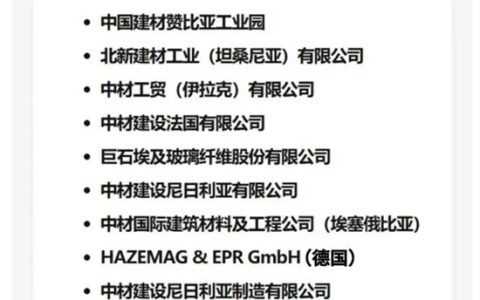 坦桑北新荣登中国建材股份2024年度十佳国际化优秀企业榜单