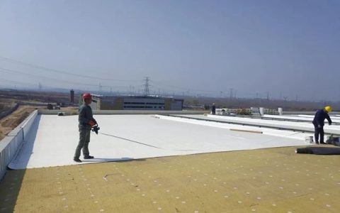 三棵树TPO防水卷材助力泰安市某物流产业园项目建设