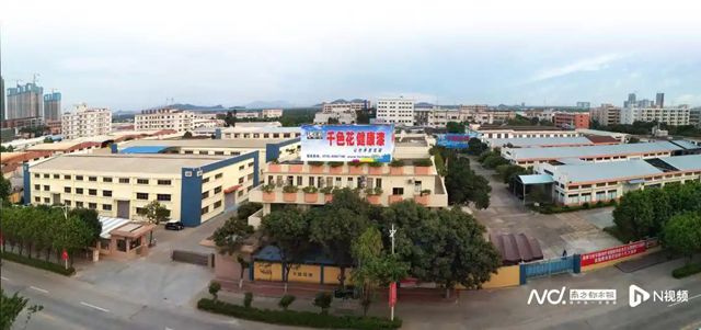 铁杆球迷、民营企业家、人大代表，黄达昌的精彩“跨界人生”