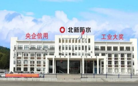 北新防水华南公司：党建引领聚合力，创新驱动谋发展