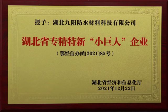 再获认定！九阳防水顺利通过湖北省专精特新企业复核