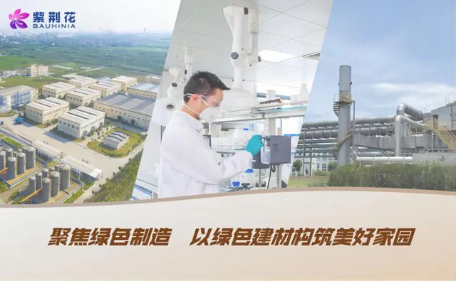 紫荆花入围2025年上海市家电家居家装消费补贴品牌