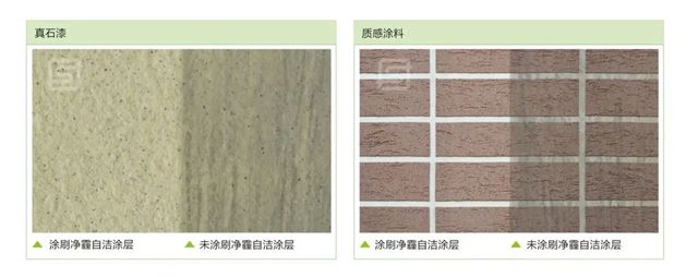 富思特市级劳模张仁哲：以科研匠心践行绿色使命