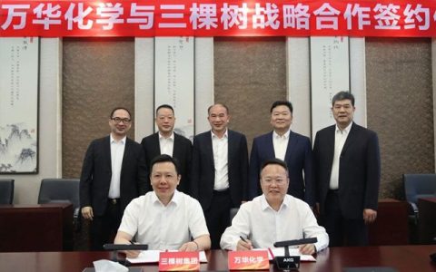 三棵树和万华化学联姻，能否让国产工业涂料在高端市场“起飞”？